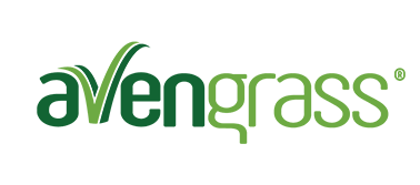 /Avengrass-искусственный газон